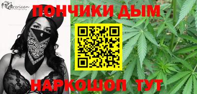 индика Будённовск