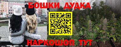 индика Будённовск
