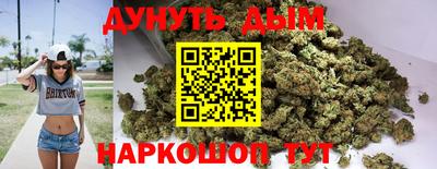 индика Будённовск