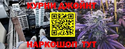 индика Будённовск